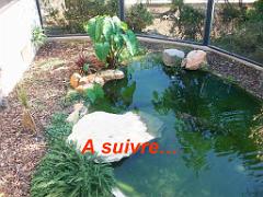 183 D21 SANARY SUR MER 1_000071